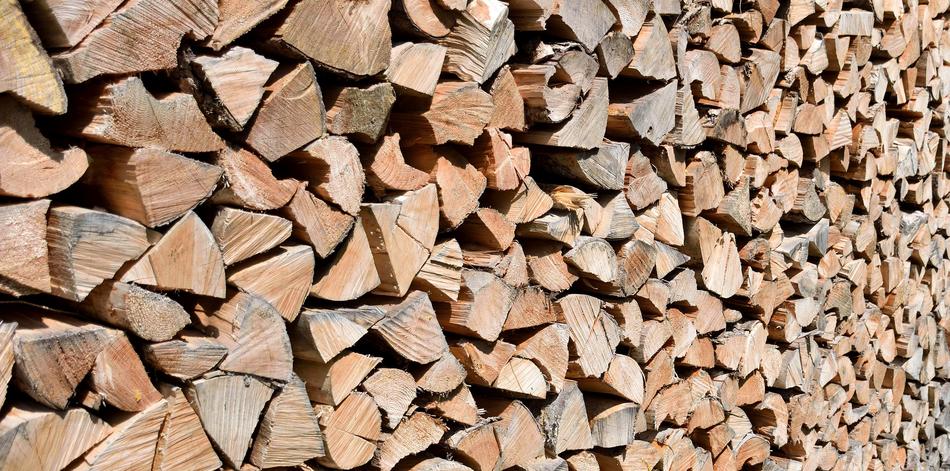 Wood Background Log