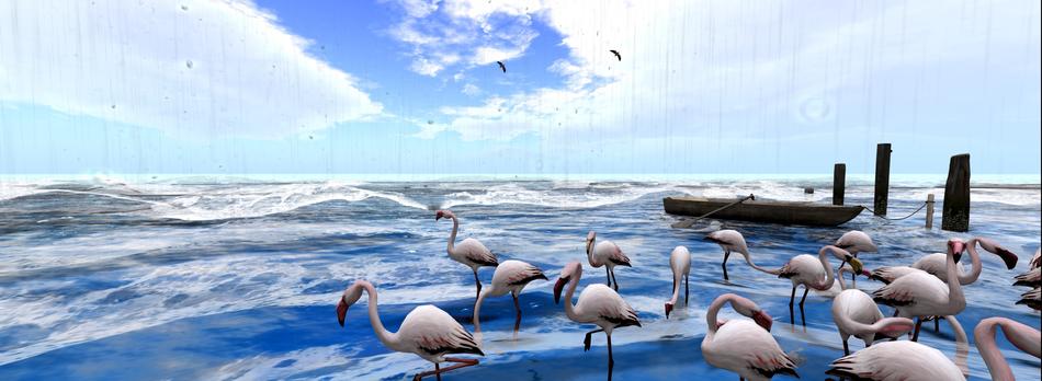 water ocean wave sky