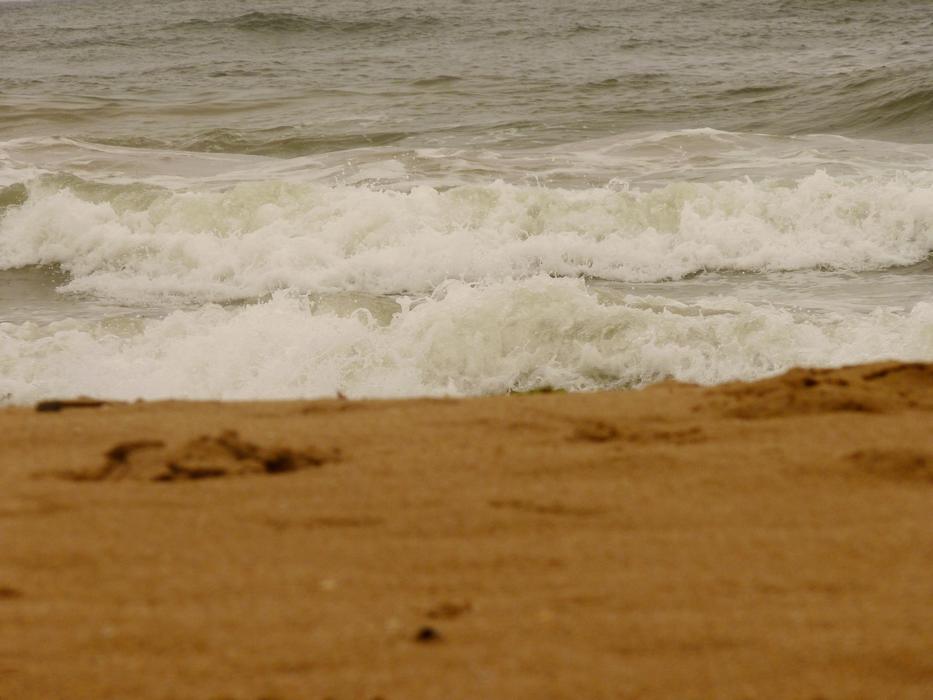 Beach Sea