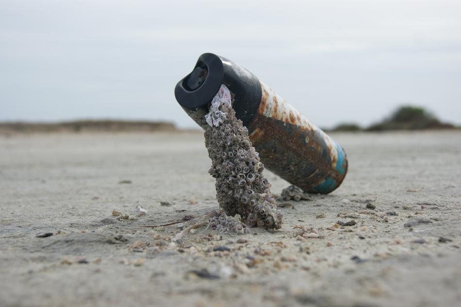 Sea Beach Nature