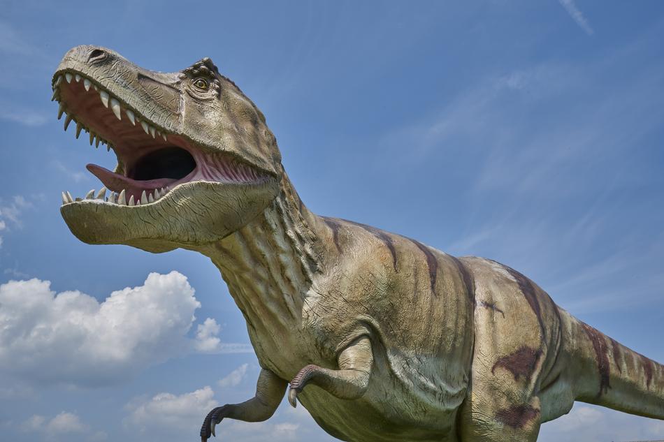 Dinosaur Prehistoric Carnivores