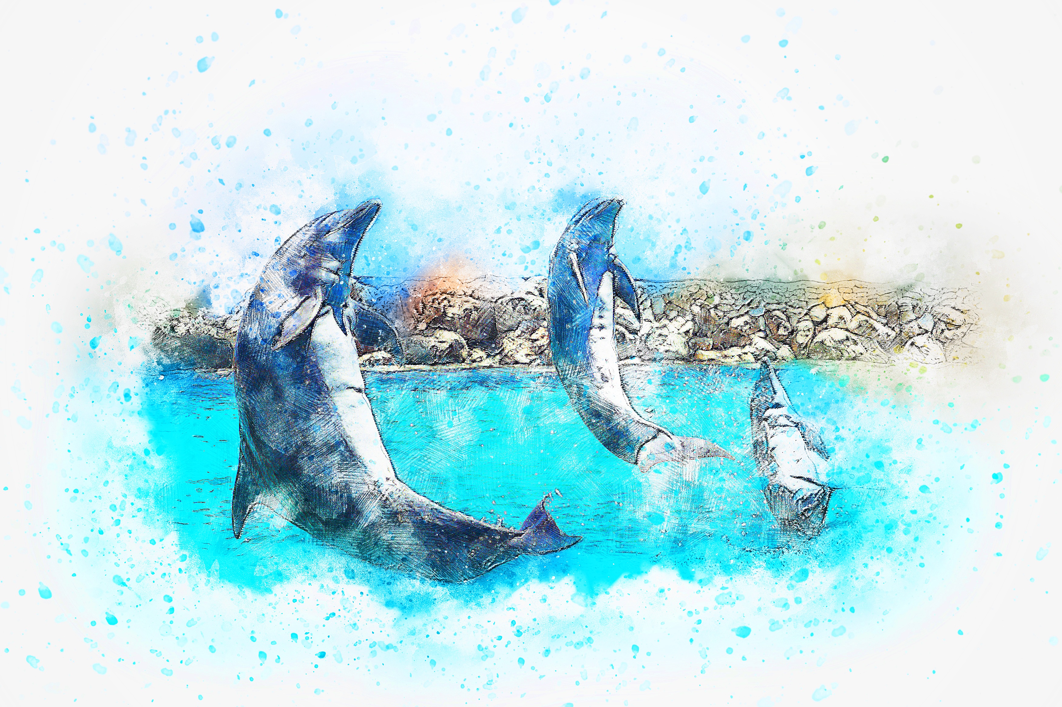 Рисунок Dolphins Jump