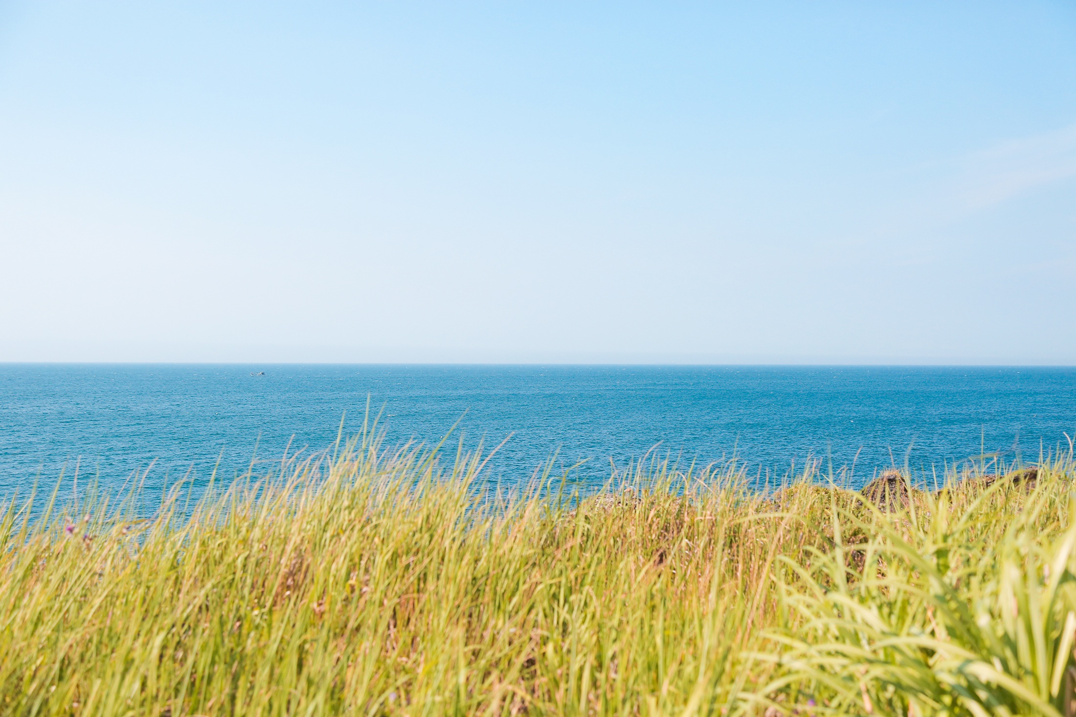 Jeju Jejudo Island Free Image Download