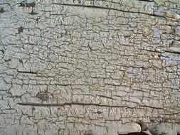 Background Texture Wood
