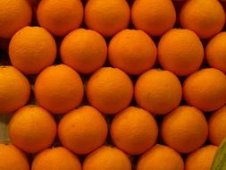 wall of ripe oranges