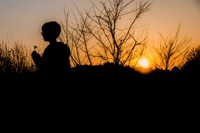 Sun Sunset Landscape