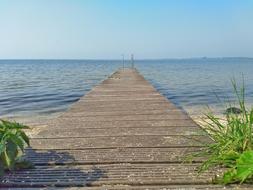Sea Web Swim