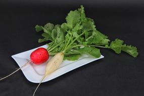 Delicious ripe radishes on the table