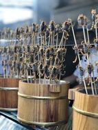 dried insects on a stick