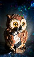 Eagle Owl Bird
