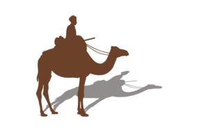 animal camel desert africa