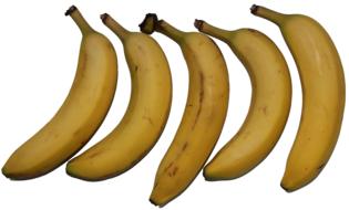 Delicious sweet bananas on white background