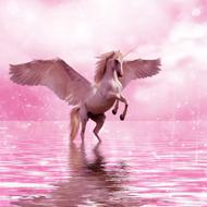Fantasy Design Magic Fairy