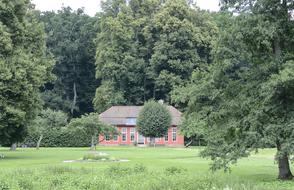 House Building Facade in forest