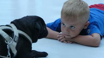 Dog Kid Child