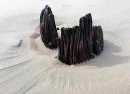 Cintsa Beach Sand Wood