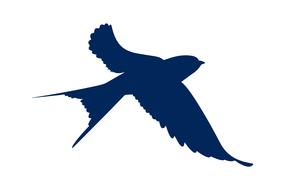 swallows bird silhouette swallow