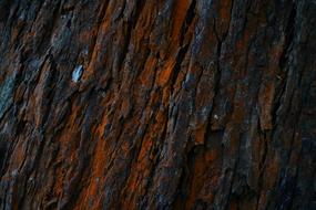 Wood Grain - Material Timber