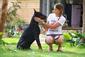 Beauty Doberman Close
