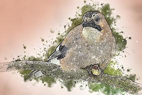 animal bird jay garrulus glandarius