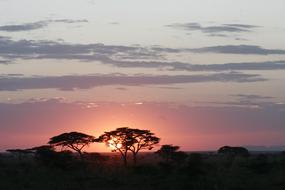 Sunset Africa Tan