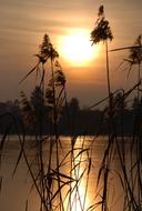 Sunset Nature Light