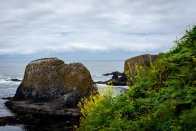 Beach Nature Ocean