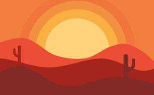 sunset offer desert cactus