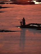 Sunset Girl Bicycle