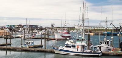 Fishing Fleet In Port