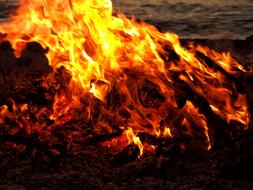 Fire Bonfire Beach