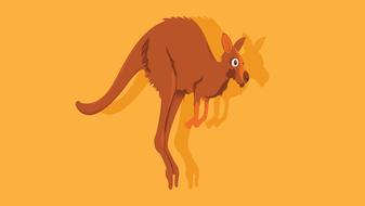 kangaroo australia marsupial mammal