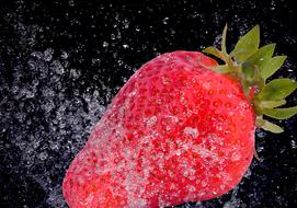 water and Strawberries at Spring