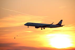 Aircraft Sunset Evening