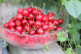 ripe berries on a plate