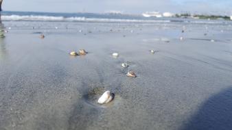 Beach Water Rocks