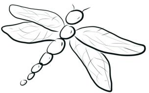 dragonfly bug insect whimsical