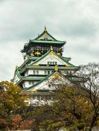 white castle with green patterns