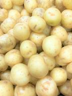 tasty peeled potato harvest