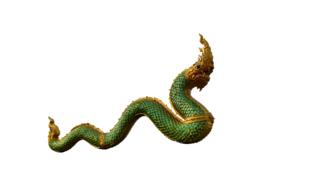 green fairy dragon