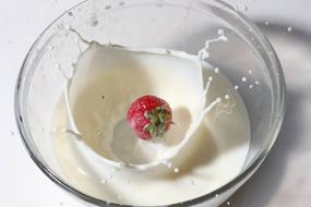 falling berry in the milk