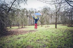 boy flies with an umbrella on the field in the forest