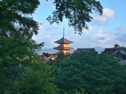 roof china trees green