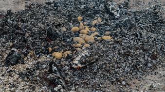 charcoal roast potatoes