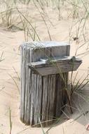 Beach Sand Stump