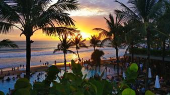 oceanfront restaurant with palm trees
