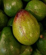 ripe avacado green