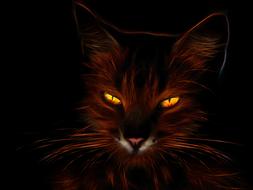 cat profile picture fiery