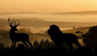 Lion Deer Hunting