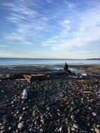 Beach Shore Man